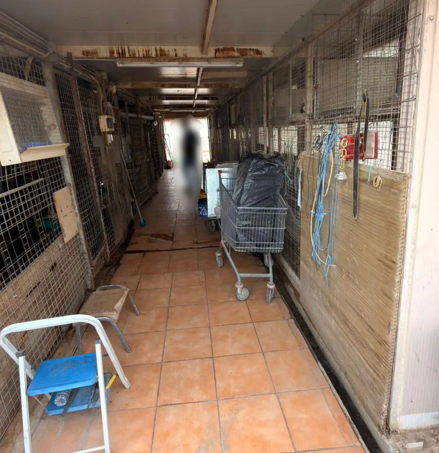 Δικογραφία για παράβαση της νομοθεσίας περί ζώων στην «φάρμα» των Αμπελοκήπων