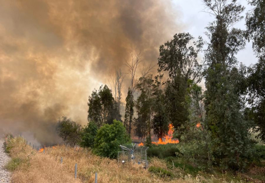 Ισραήλ: Φωτιές σαρώνουν την Ιερουσαλήμ, ο Νετανιάχου ίσως ζητήσει βοήθεια από την Ελλάδα (Βίντεο)
