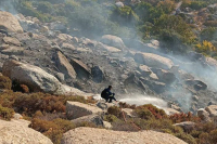 Φωτιά τώρα στην Ικαρία - Μεταβαίνουν πυροσβέστες και από τη Σάμο