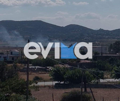 Συναγερμός στην Εύβοια: Φωτιά στα Κριεζά, κοντά σε σπίτια