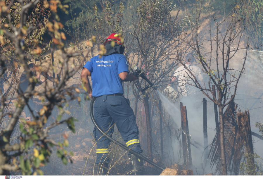 Μαίνεται η φωτιά στην Σάμο, έφτασαν στο νησί οι 28 Πυροσβέστες από την Αθήνα (βίντεο)