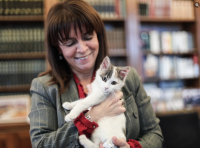 Κατερίνα Σακελλαροπούλου: Το μήνυμα της ΠτΔ για την Παγκόσμια ημέρα αδέσποτων ζώων