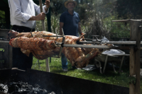 Κατσίκι στη σούβλα: Πώς να το προετοιμάσεις και να το ψήσεις την Κυριακή του Πάσχα