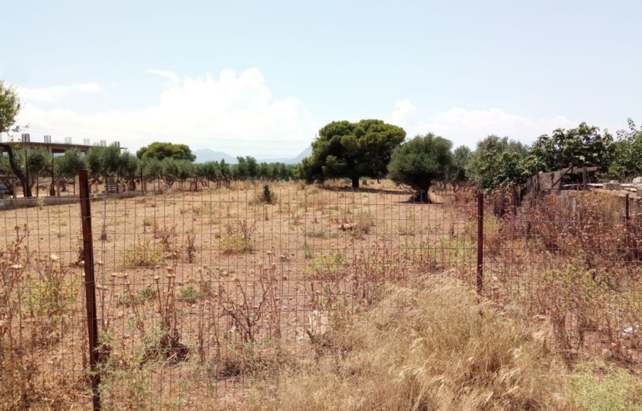 Λήγει η προθεσμία για την δήλωση καθαρισμού οικοπέδων