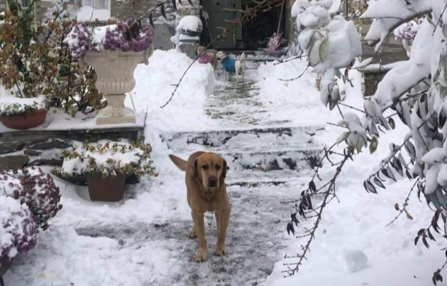 Κακοκαιρία Αλέξανδρος: Εντυπωσιακές εικόνες και βίντεο από τα πρώτα χιόνια στη χώρα