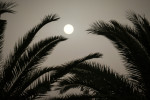 ΚΑΙΡΟΣ - ΑΦΡΙΚΑΝΙΚΗ ΣΚΟΝΗ Photo: Eurokinissi