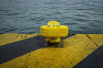 photo: eurokinissi