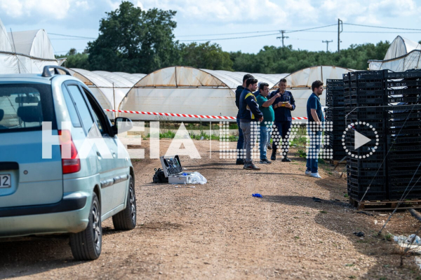 Φωτογραφία: ilialive.gr