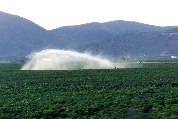 Μπαίνει χαράτσι ποτίσματος στα χωράφια και πράσινο τέλος στους λογαριασμούς νερού