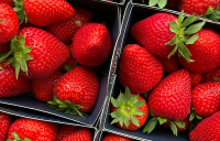 8 φρούτα που θα σας βοηθήσουν να χάσετε το λίπος στην κοιλιά σε ένα μήνα