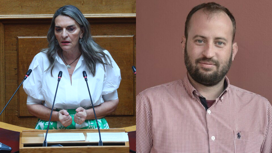 Πέτη Πέρκα - Θεόφραστος Βαμβουρέλλης στο Dnews: Γάζα ερχόμαστε!