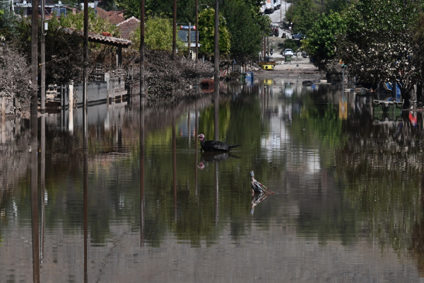 Θεσσαλία: Ανοιχτό ενδεχόμενο να υπάρχουν κλειστά σχολεία για μήνες, τι εξετάζει το υπουργείο Παιδείας