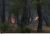 Οριοθετήθηκε η φωτιά στη Λέσβο
