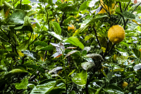 «Κλείδωσε» κακοκαιρία με καταιγίδες σε όλη τη χώρα - Τι λέει η ΕΜΥ