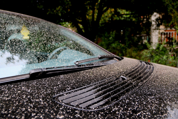 Nέα πτώση θερμοκρασίας σήμερα, υποχωρούν οι λασποβροχές, βελτίωση του καιρού στα μέσα της Μ. Εβδομάδας (βίντεο)