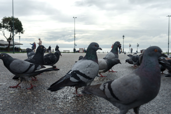 Καιρός: Έρχονται και νέες καταιγίδες σήμερα πριν τον καύσωνα