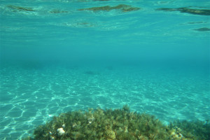 Το μοιραίο λάθος των δυτών στην Κάρπαθο που τους οδήγησε στον θάνατο