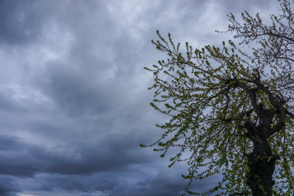 Καιρός: Έρχονται βροχές- Προειδοποίηση Κολυδά για 4 περιοχές - Η πρόγνωση για Αττική