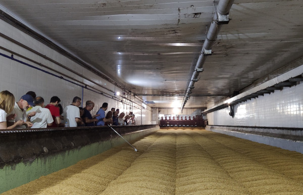 Για δεύτερη συνεχή χρονιά η Αθηναϊκή Ζυθοποιία άνοιξε τα εργοστάσιά της στους φίλους της μπίρας