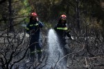 Νέα πυρκαγιά στην Ανάβυσσο