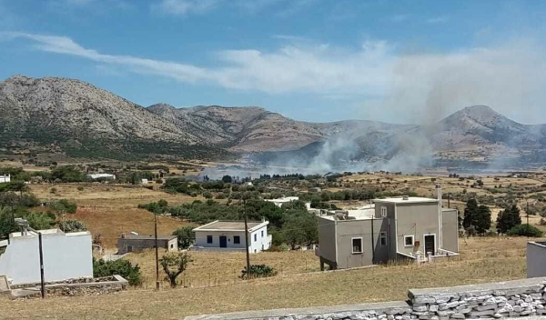 Δύο συλλήψεις για φωτιές σε Νάξο και Φωκίδα