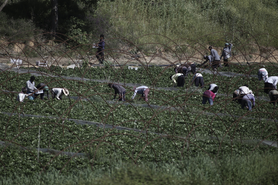 ΟΠΕΚΕΠΕ: Ανοιχτό το ενδεχόμενο διεύρυνσης του «κύκλου» των υπόπτων