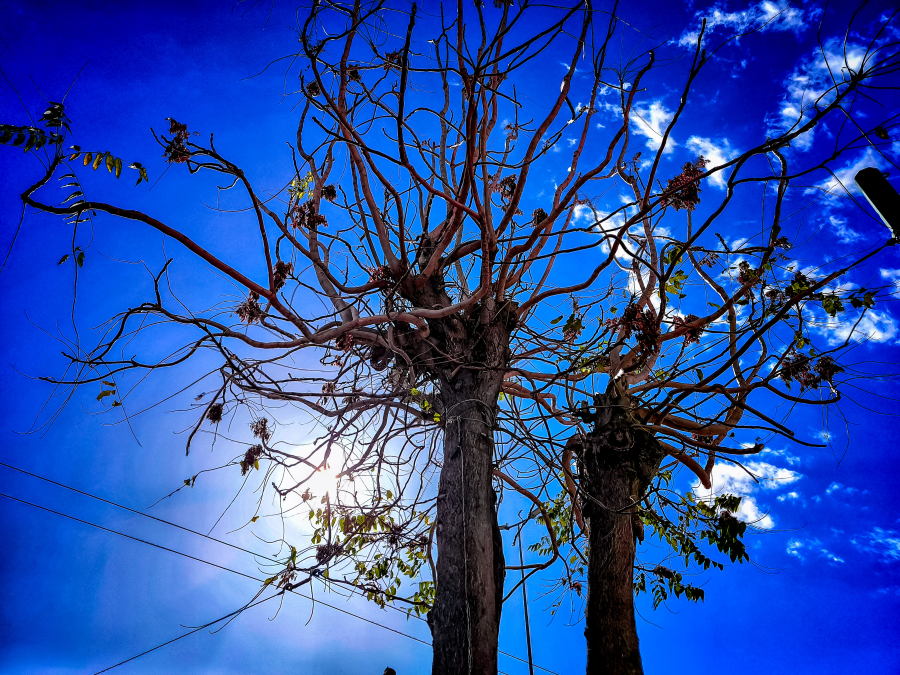 Καιρός: Ξαφνικό κρύο - Πότε ανεβαίνει η θερμοκρασία και έρχονται βροχές