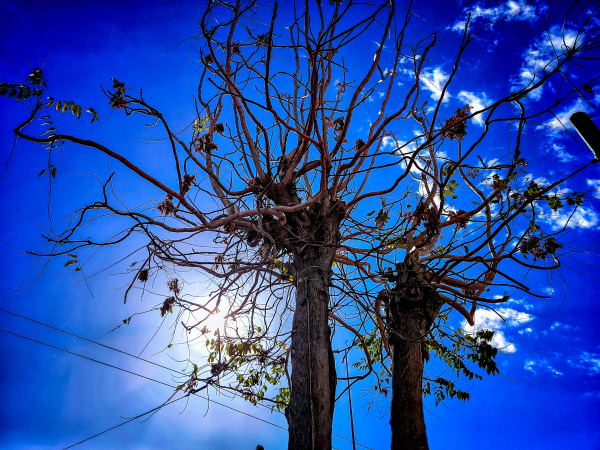 Καιρός: Ξαφνικό κρύο - Πότε ανεβαίνει η θερμοκρασία και έρχονται βροχές