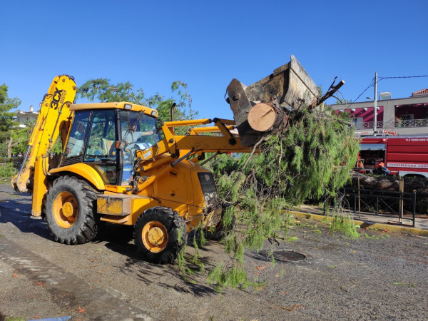 Δήμος Ηρακλείου Αττικής: Ανοίγει η διαδικασία για τις αποζημιώσεις από τον ανεμοστρόβιλο