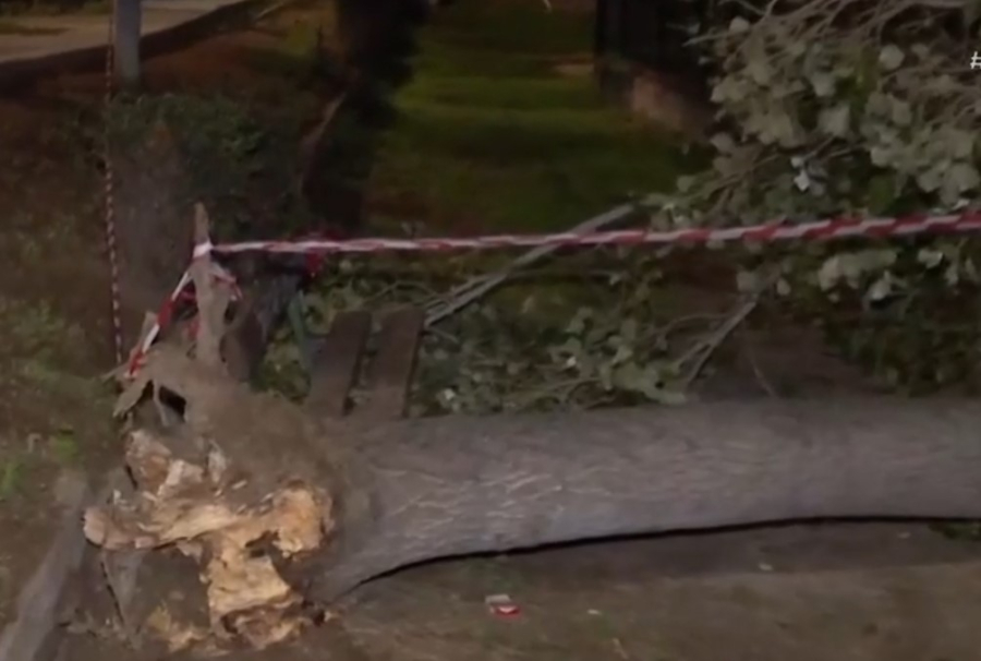 Δέντρο έπεσε μέσα σε παιδική χαρά στο Χαϊδάρι (Βίντεο)