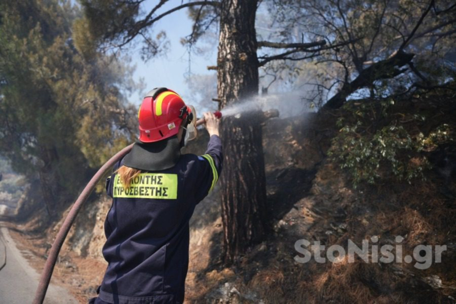 Χωρίς ενεργό μέτωπο η μεγάλη φωτιά στη Λέσβο - Εμπρησμό καταγγέλει ο πρόεδρος της κοινότητας (Βίντεο)