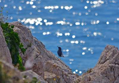 Στα Δωδεκάνησα έχουν πει το νερό ...νεράκι