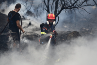 Φωτιά στη Σταμάτα: Διακοπή κυκλοφορίας στη λεωφόρο Μαραθώνος