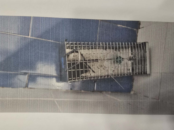 Σάμος: Λουκέτο για τρεις μέρες στο Ειδικό Σχολείο – «Σε κίνδυνο οι ζωές των ΑμεΑ παιδιών μας» (εικόνες)