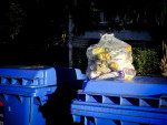 Photo: Eurokinissi