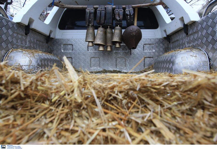 Εκδόθηκε το ΦΕΚ για την ενίσχυση των κτηνοτροφών, οι δικαιούχοι και ο τρόπος υπολογισμού του ποσού