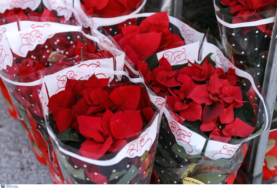 Ποιοι γιορτάζουν σήμερα 3 Ιουλίου