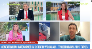 Βάρκιζα: Λαγοκέφαλος δάγκωσε τον τραγουδιστή Δημήτρη Κανέλλο