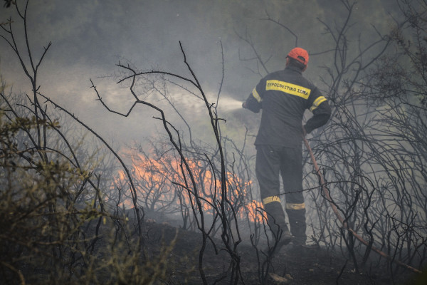 Μαίνεται η φωτιά σε δάσος στη δυτική Αχαΐα - Αγώνας να μην φτάσει σε κατοικημένες περιοχές