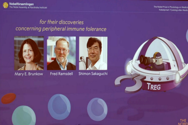 Σε Μπράνκοου, Ράμσντελ και Σακαγκούτσι το Νόμπελ Ιατρικής 2025