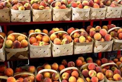 Δωρεάν διανομή Ροδάκινων στο Δήμο Δέλτα