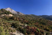 Eurokinissi