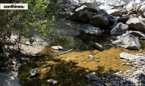 Ξάνθη: Σφηνωμένα κάτω από βράχο βρέθηκαν νεκρά τα δύο 16χρονα παιδιά