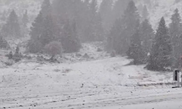 Πυκνή χιονόπτωση σε Χελμό και τα χιονοδρομικά Πισοδερίου και Βασιλίτσας
