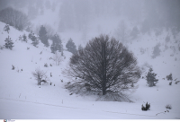 Εντοπίστηκε ζωντανός ο σκιέρ στο Σέλι Ημαθίας