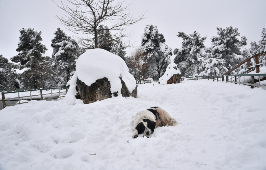 Κακοκαιρία Elena: «Χτυπά» σε δυο φάσεις - Έρχονται ακόμα πιο ψυχρές αέριες μάζες