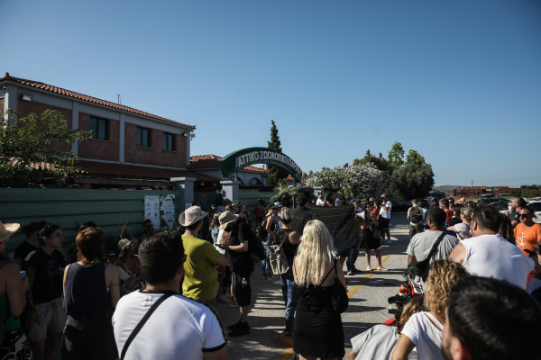 O Κούγιας αναλαμβάνει την υπόθεση του χιμπατζή που εκτελέστηκε στο Αττικό Πάρκο