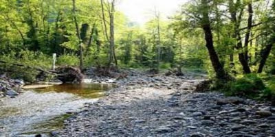 2 Προσλήψεις στο Δασαρχείο Ιστιαίας