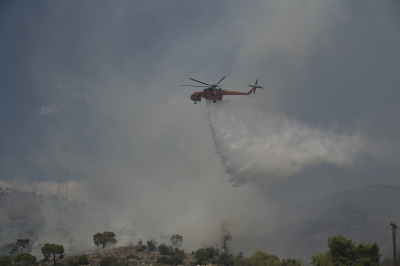 Φωτιά σε δασική έκταση στη Ζάκυνθο - Δόθηκε εντολή για εκκένωση (βίντεο)