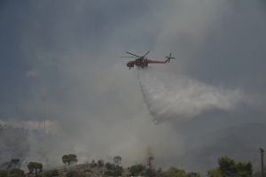 Φωτιά σε δασική έκταση στη Ζάκυνθο - Δόθηκε εντολή για εκκένωση (βίντεο)